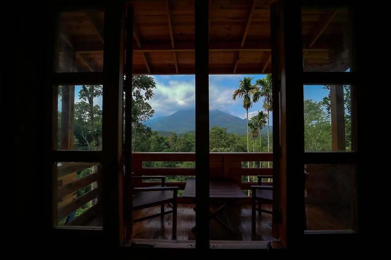 Woodrose Resort Kalpetta